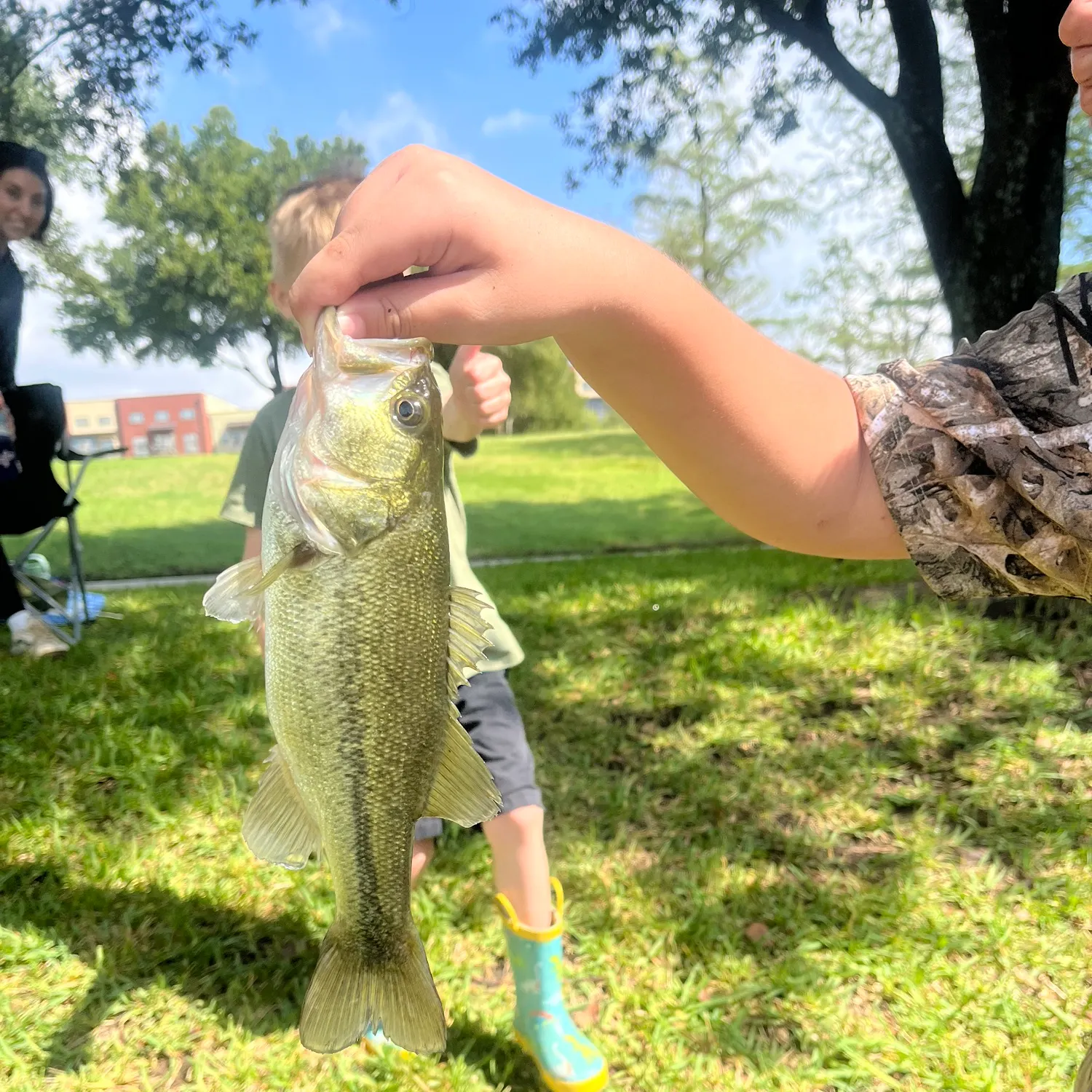 catch