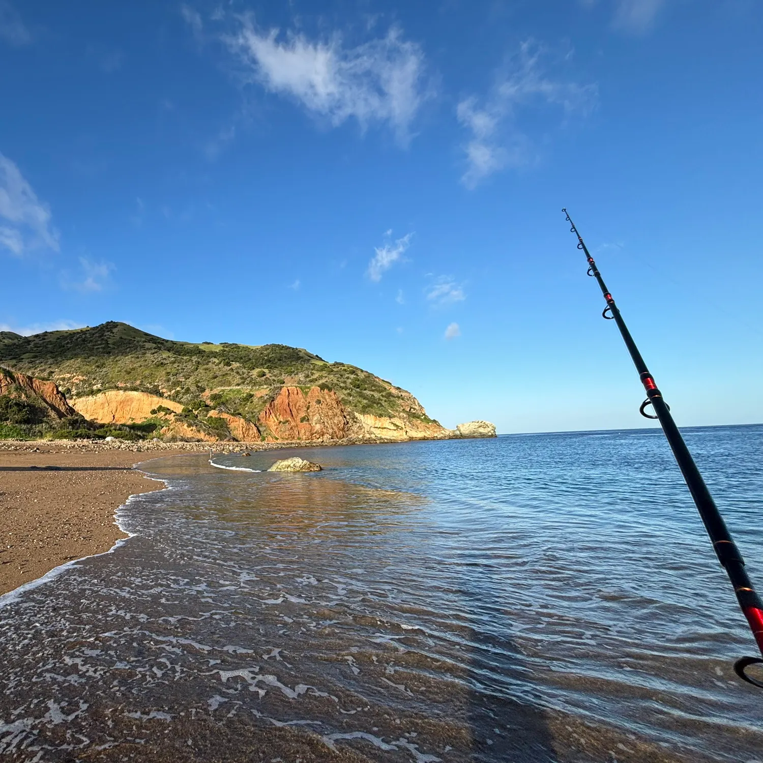 The most recent Giant kelpfish catches on Fishbrain