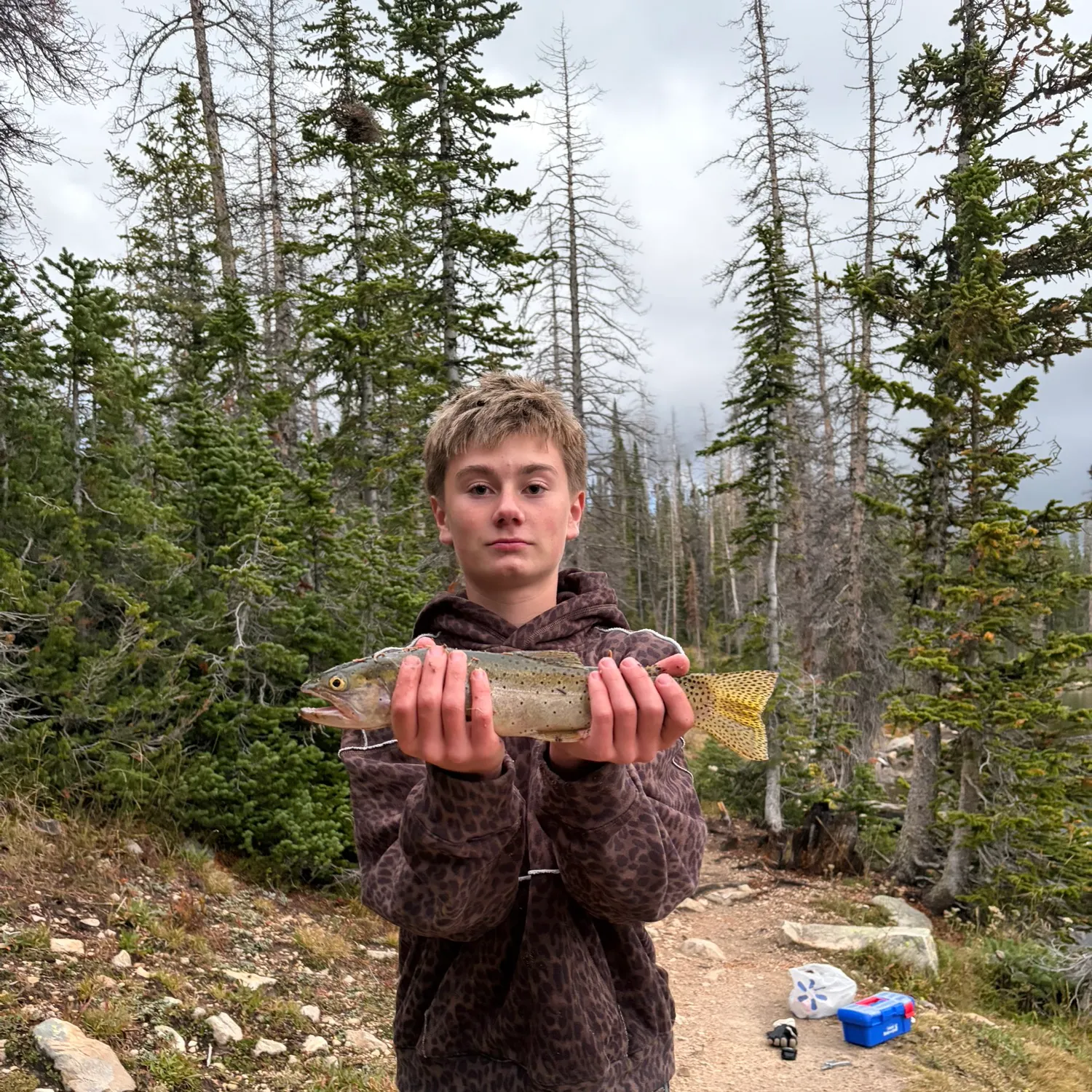 Cutthroat trout caught on Fishbrain