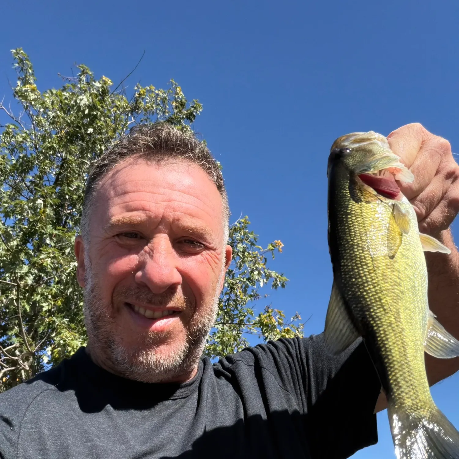 Smallmouth bass caught on Fishbrain