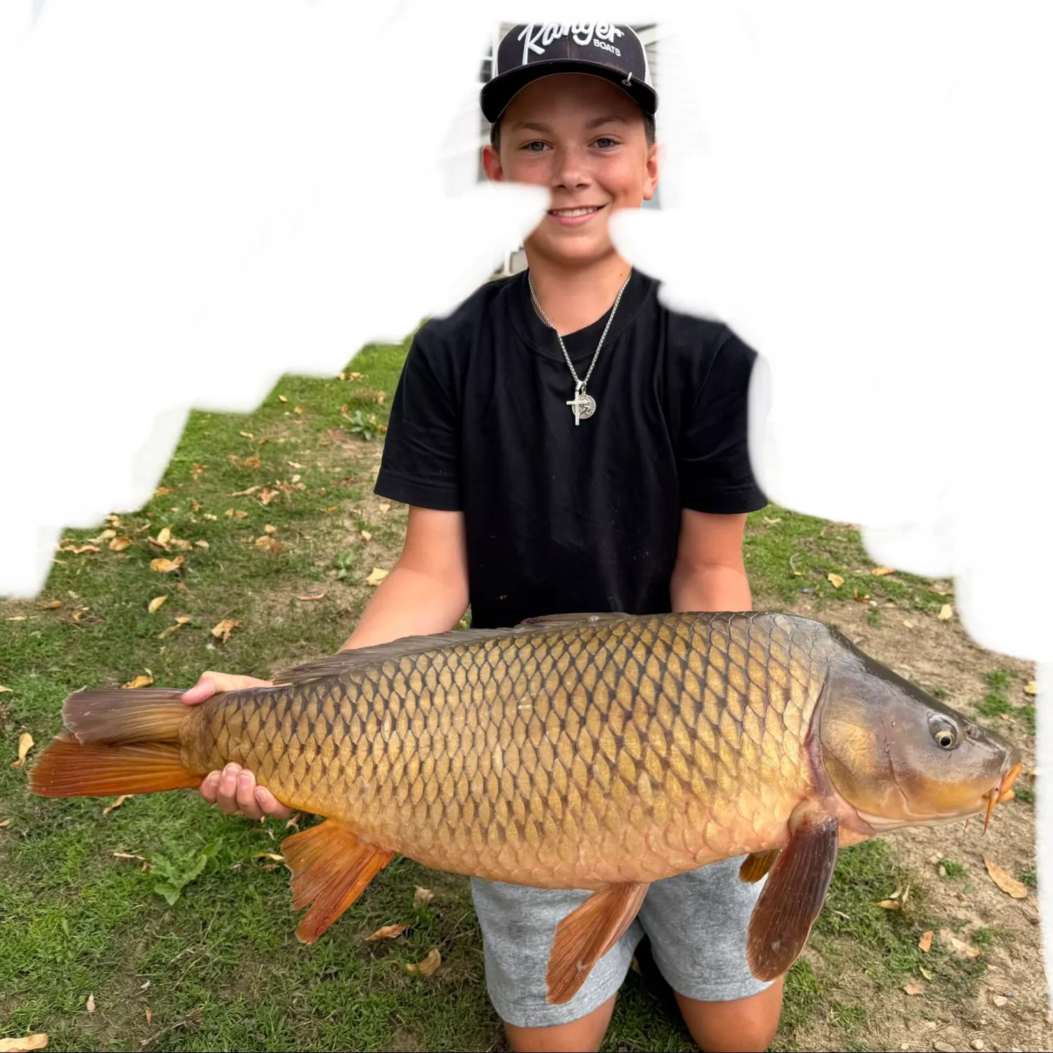 Common carp caught on Fishbrain