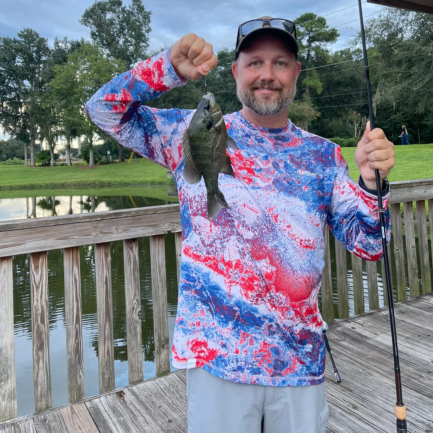 Bluegill caught on Fishbrain