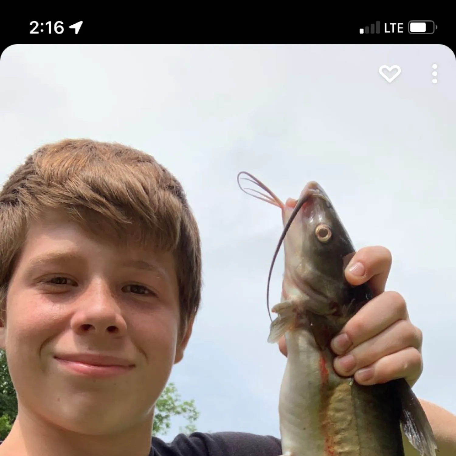 recently logged catches