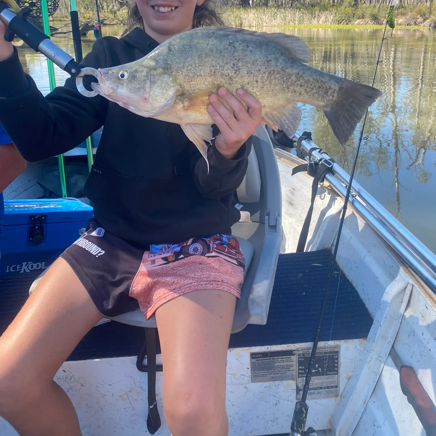 Golden perch caught on Fishbrain