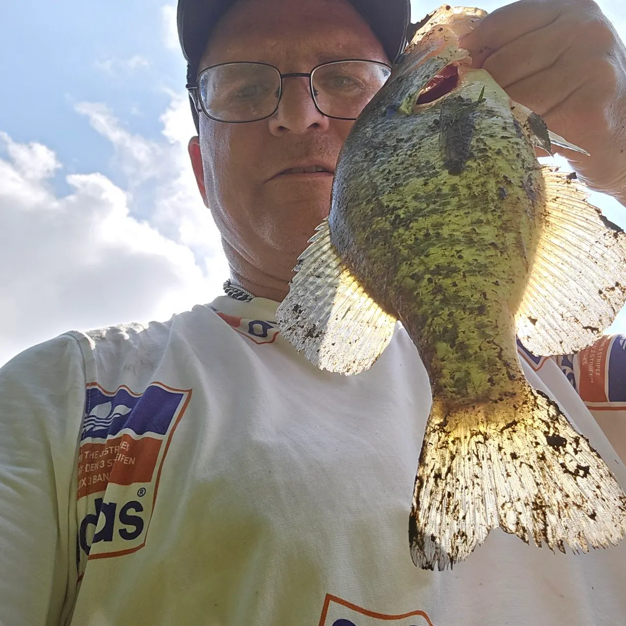 White crappie caught on Fishbrain