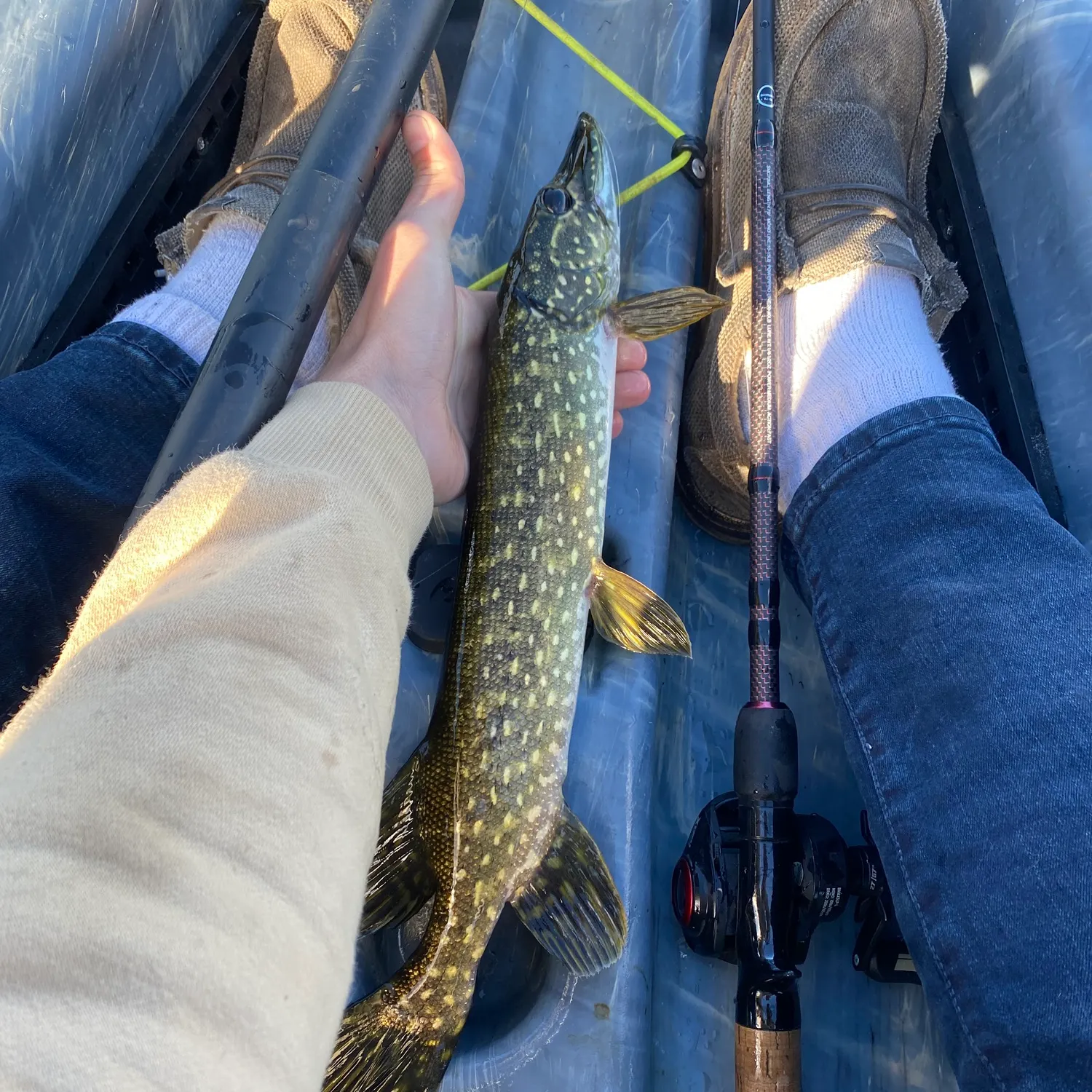 Northern pike caught on Fishbrain