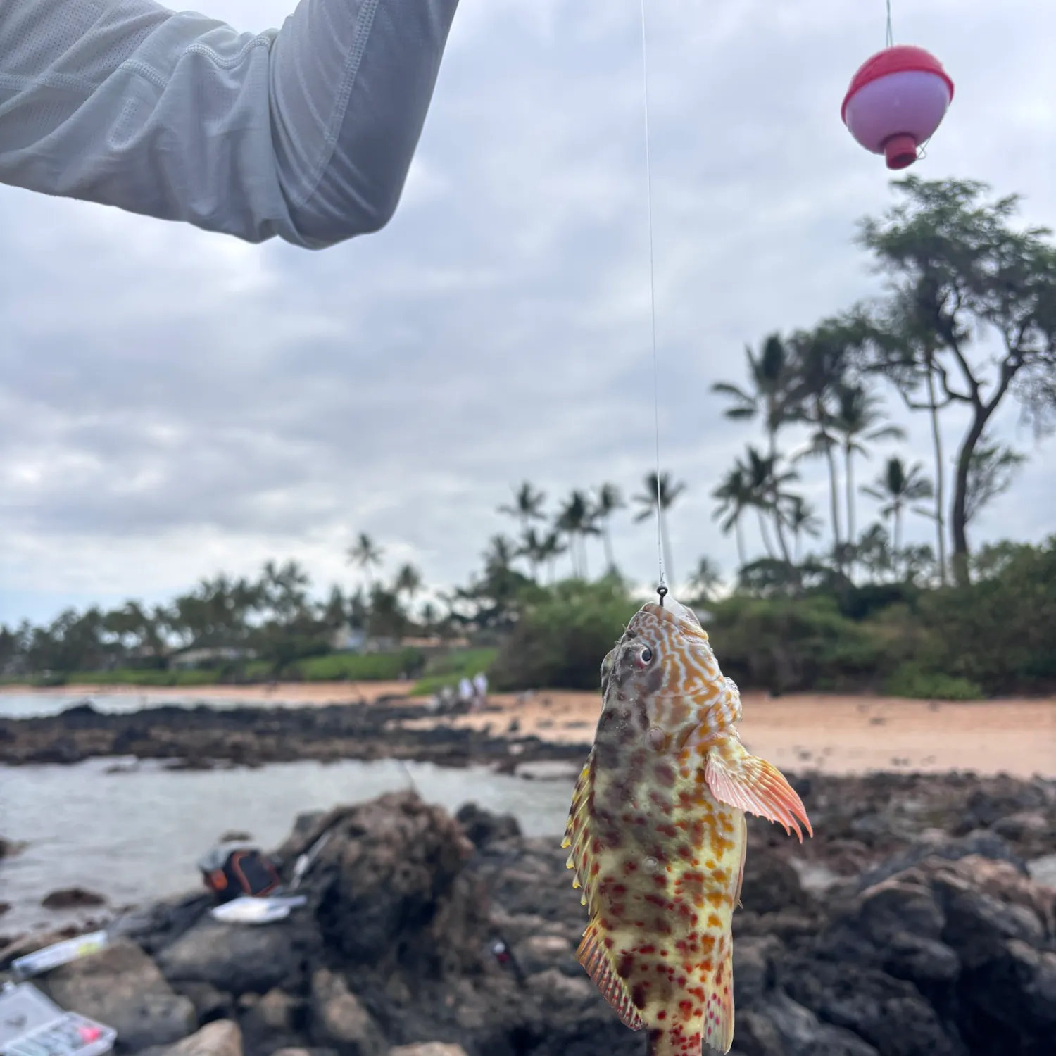catch