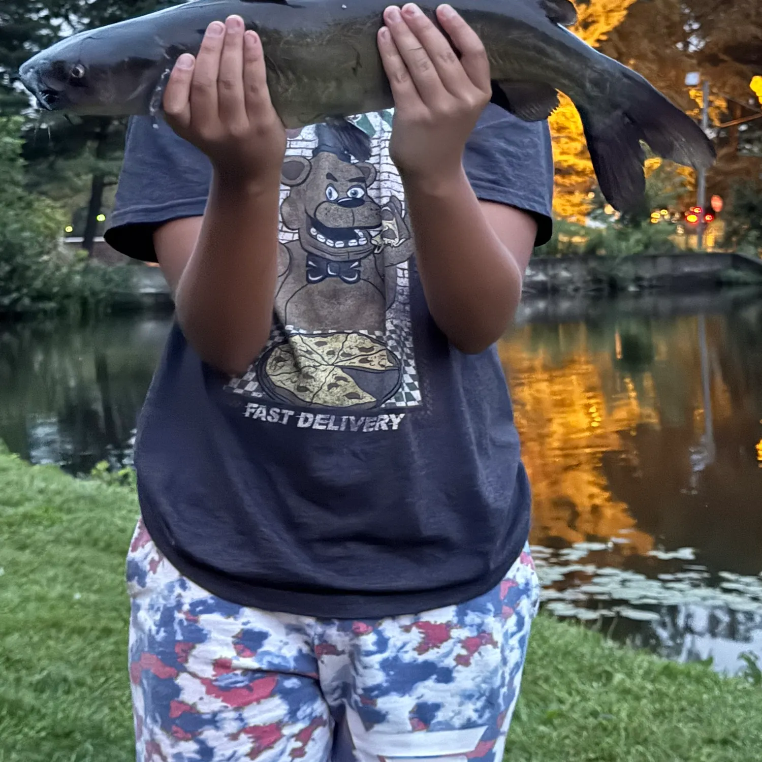 Channel catfish caught on Fishbrain