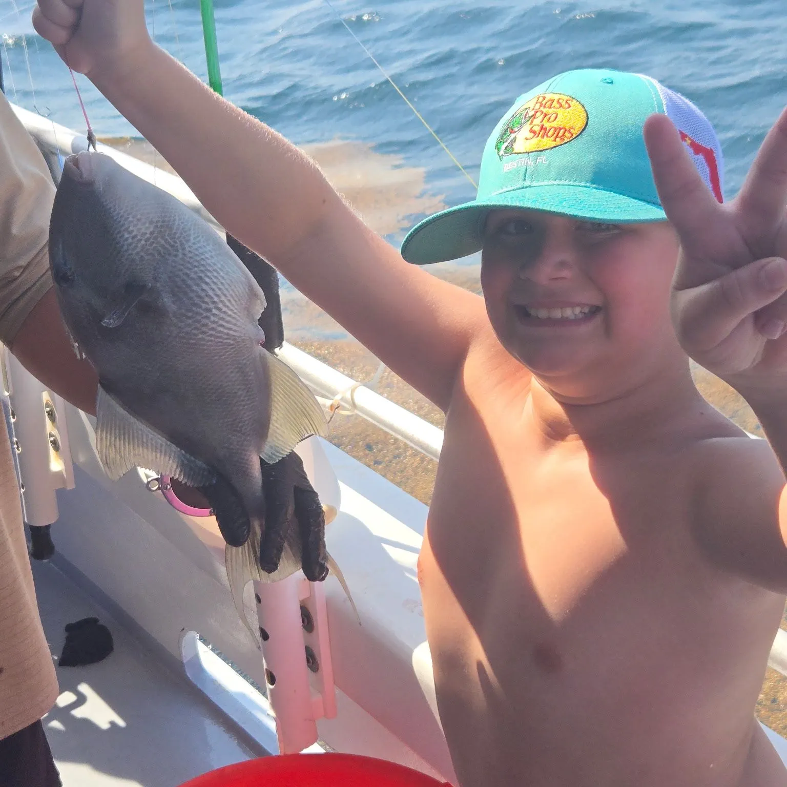 The most recent Ocean triggerfish catches on Fishbrain