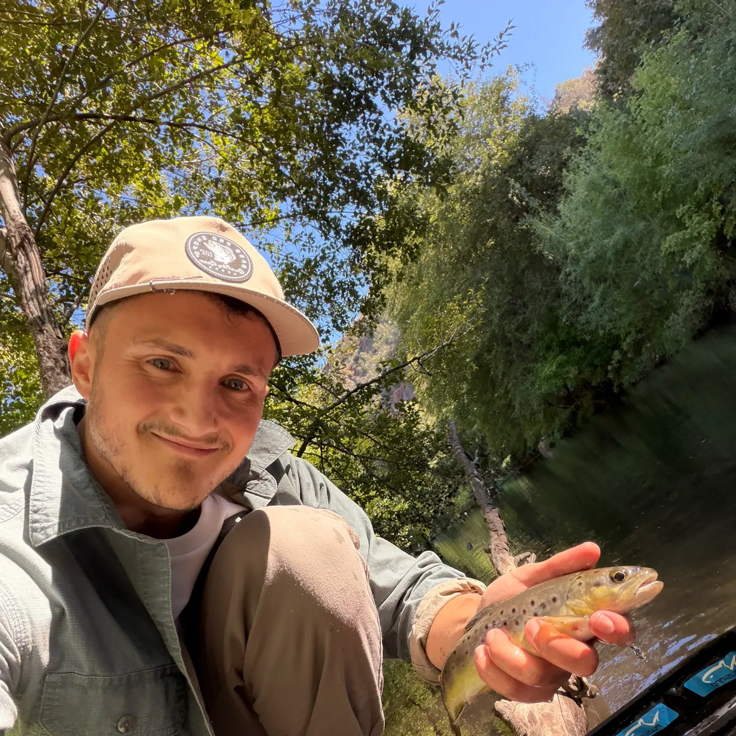 Brown trout caught on Fishbrain