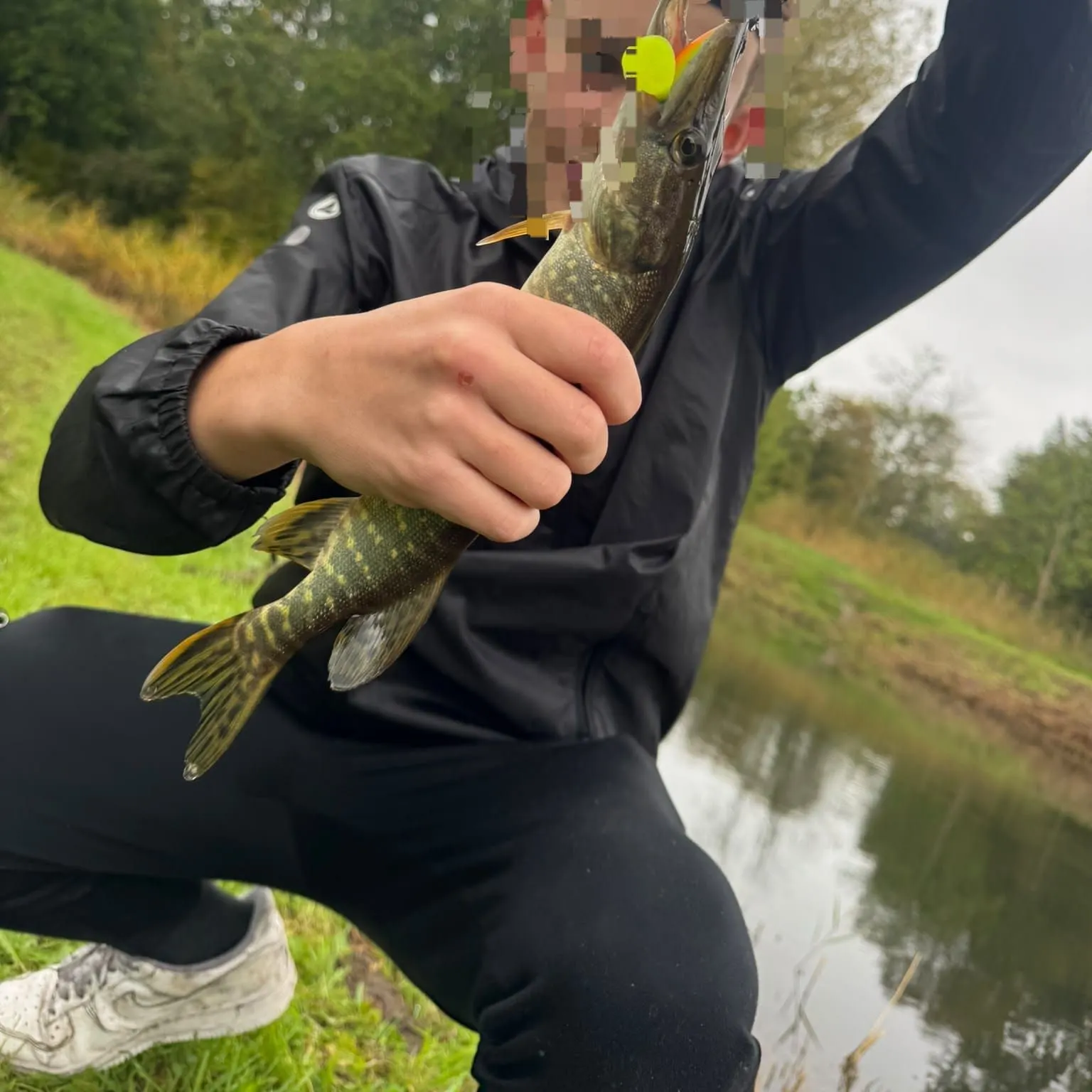 Northern pike caught on Fishbrain