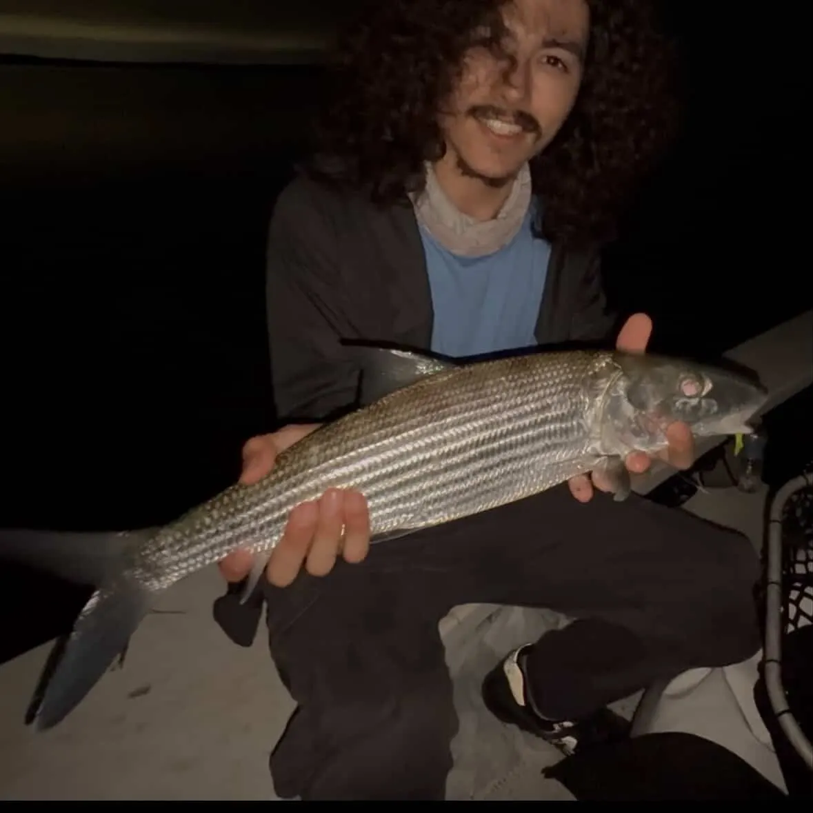 The most recent West Atlantic bonefish catches on Fishbrain