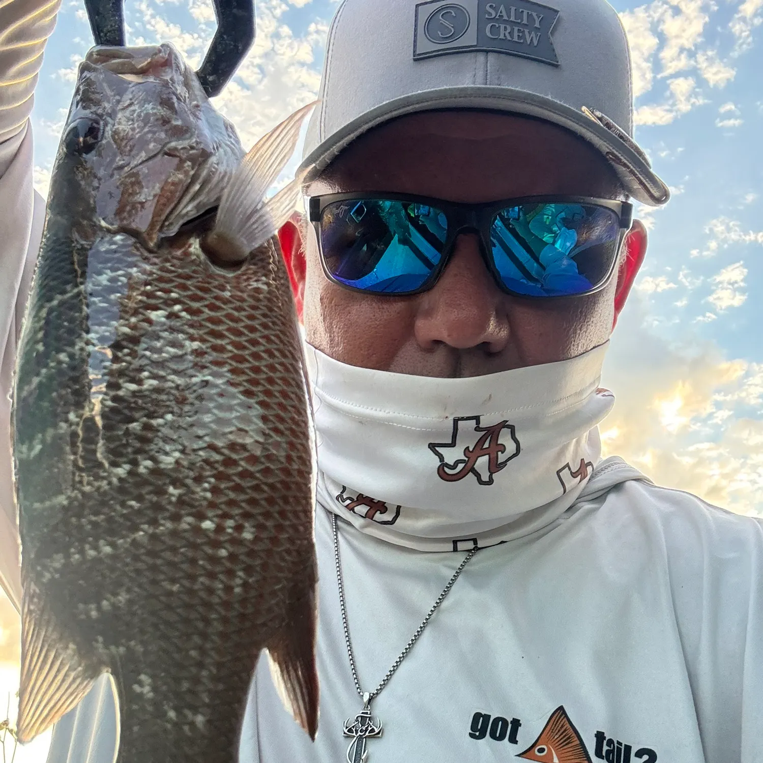 Mangrove snapper caught on Fishbrain