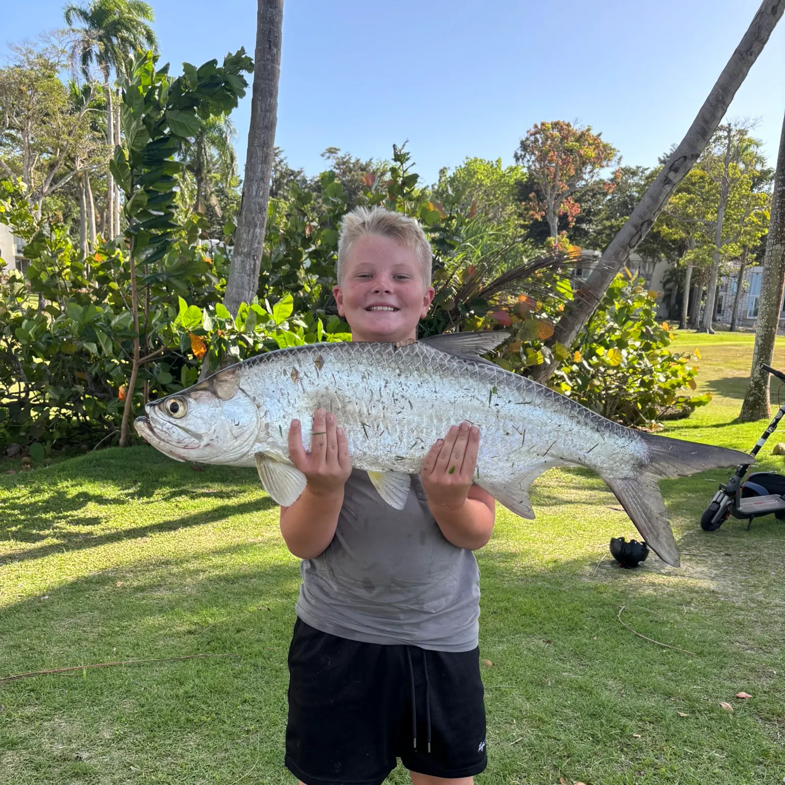 The most recent Tarpon catches on Fishbrain