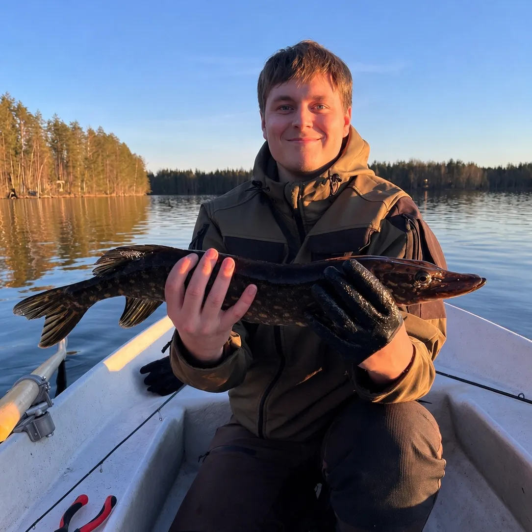 The most recent Northern pike catches on Fishbrain