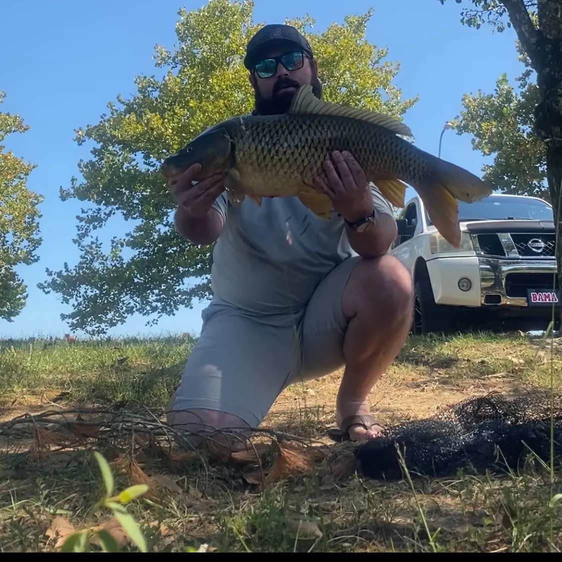 Common carp caught on Fishbrain