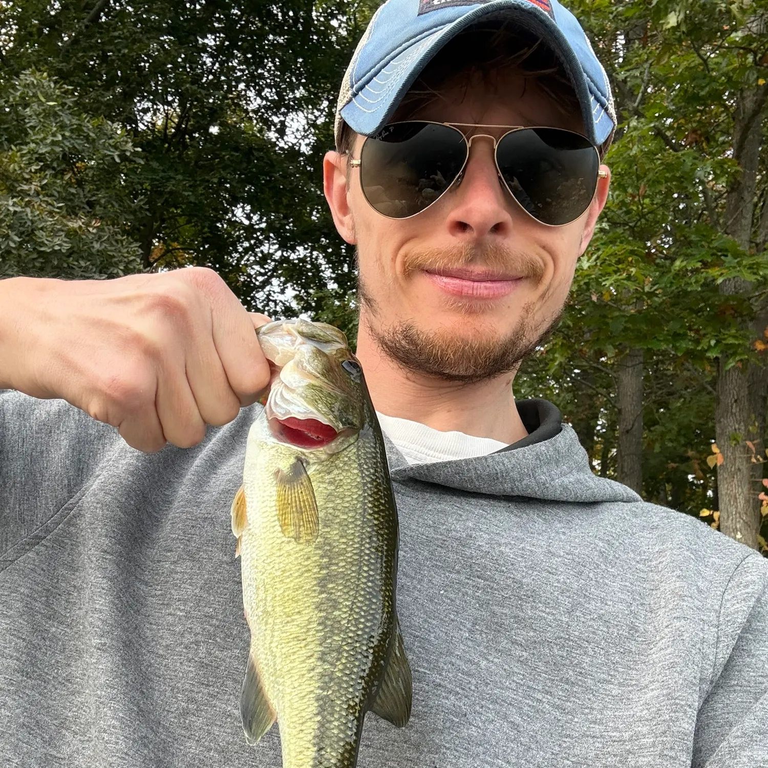 Largemouth bass caught on Fishbrain