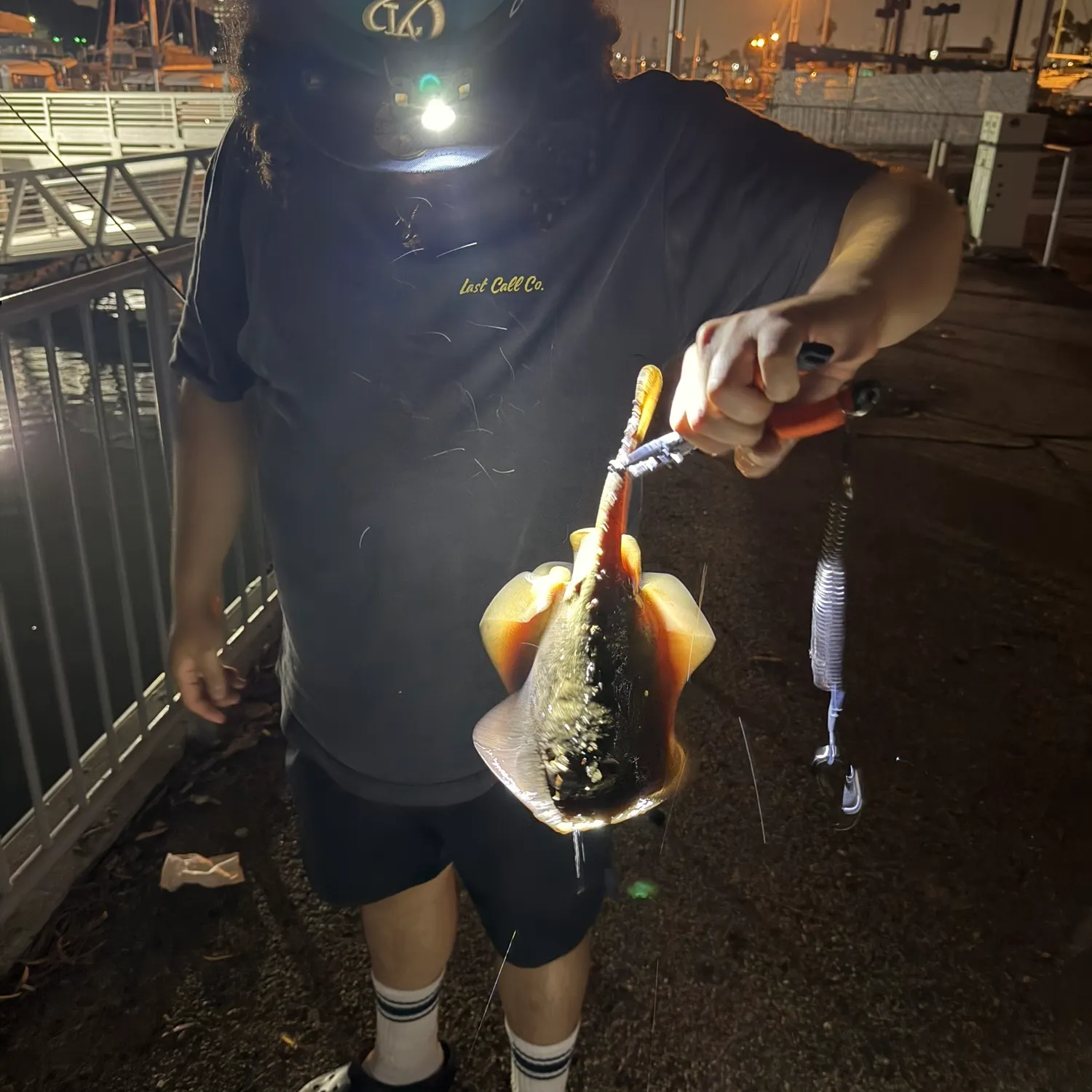 The most recent Atlantic stingray catches on Fishbrain
