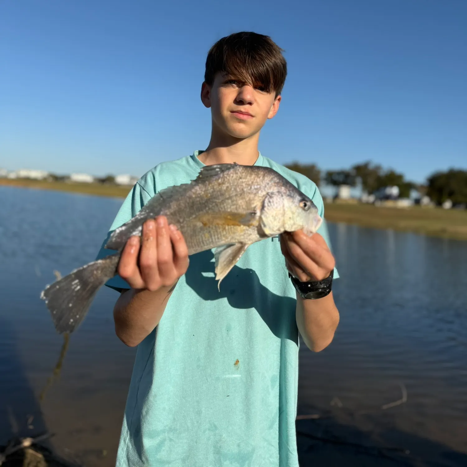 The most recent Freshwater drum catches on Fishbrain