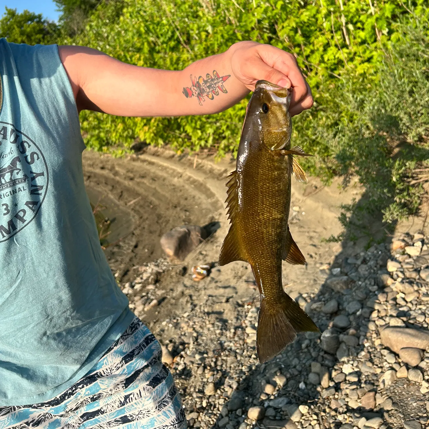 recently logged catches