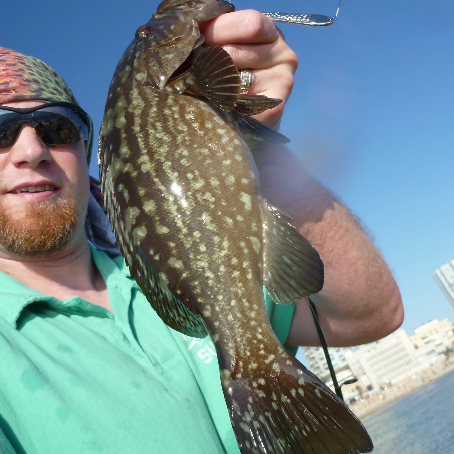 The most recent Dusky grouper catches on Fishbrain