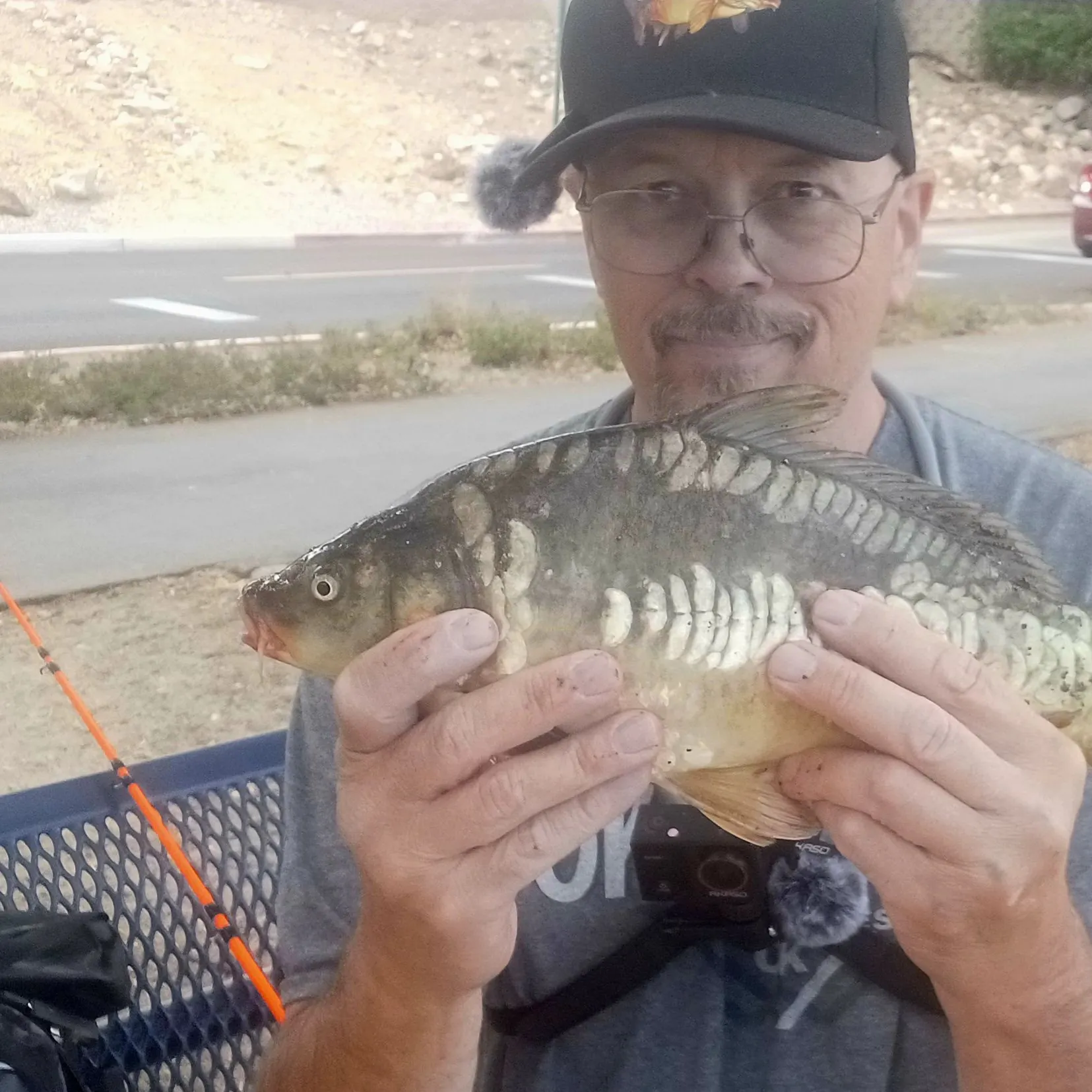 Mirror carp caught on Fishbrain