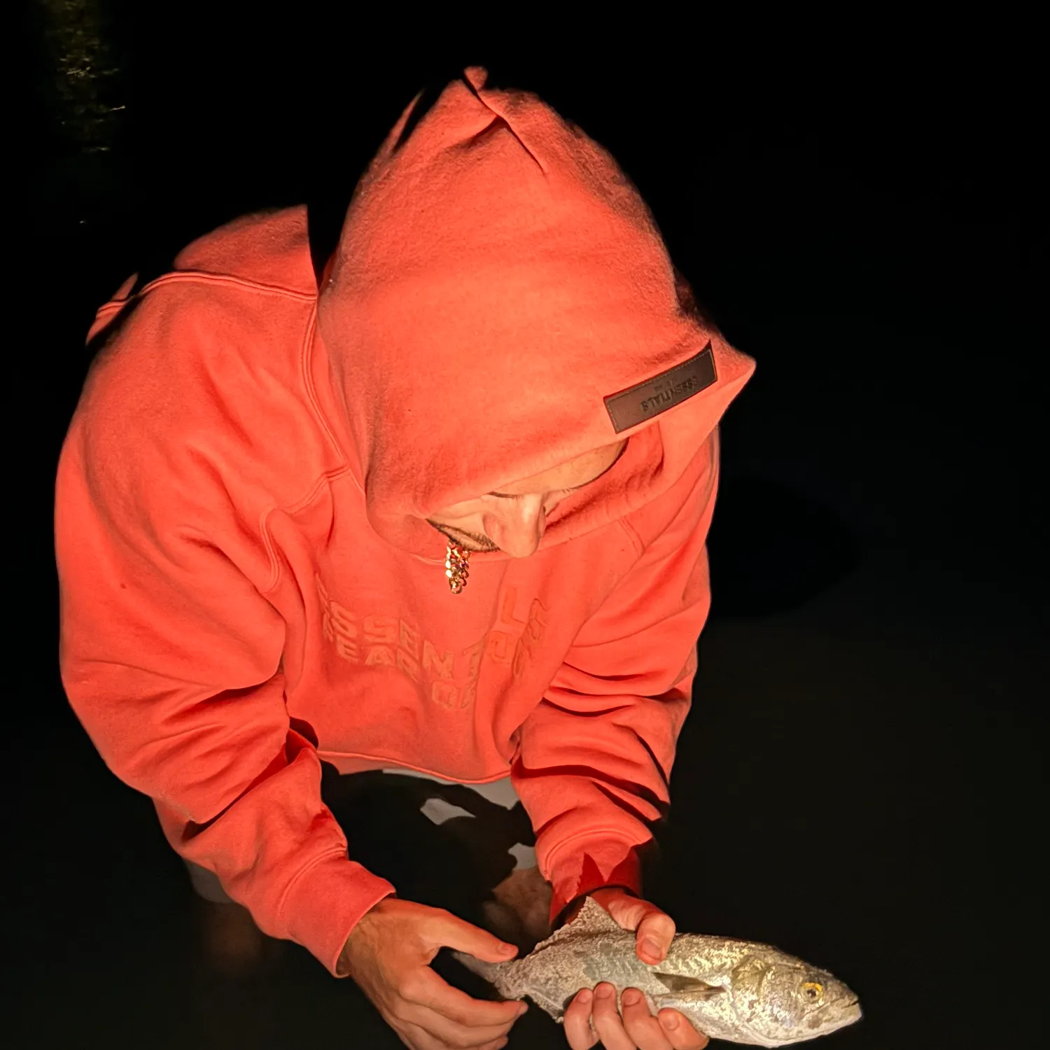 The most recent Blue runner catches on Fishbrain