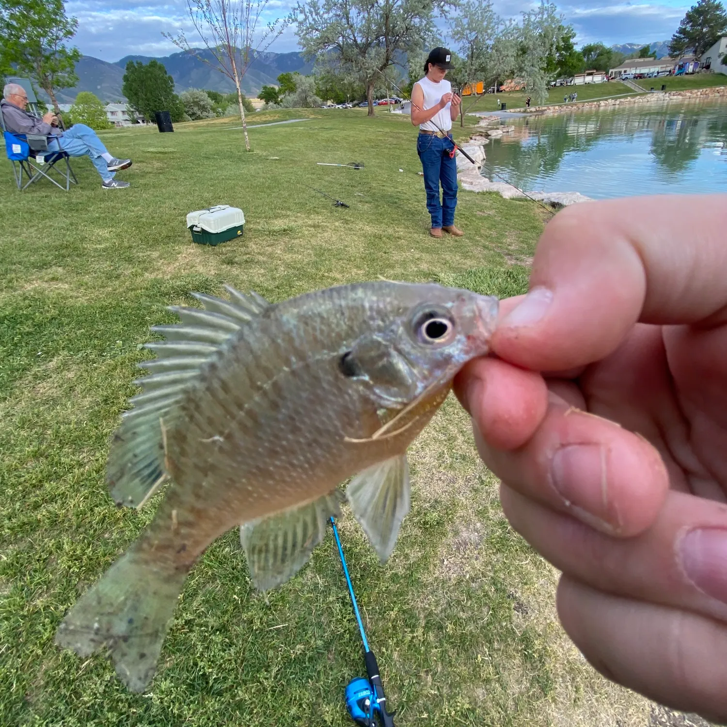 catch