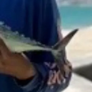 The most recent Frigate tuna catches on Fishbrain