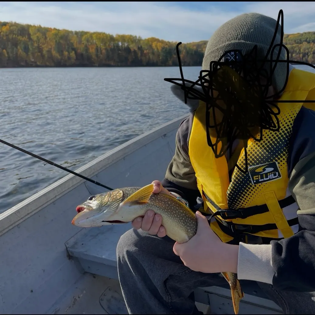 Lake char caught on Fishbrain