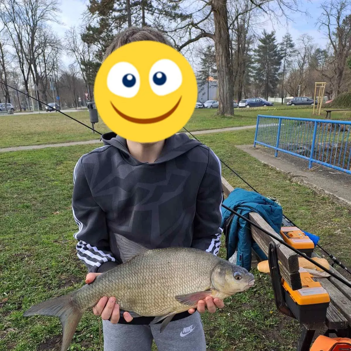 The most recent Common bream catches on Fishbrain