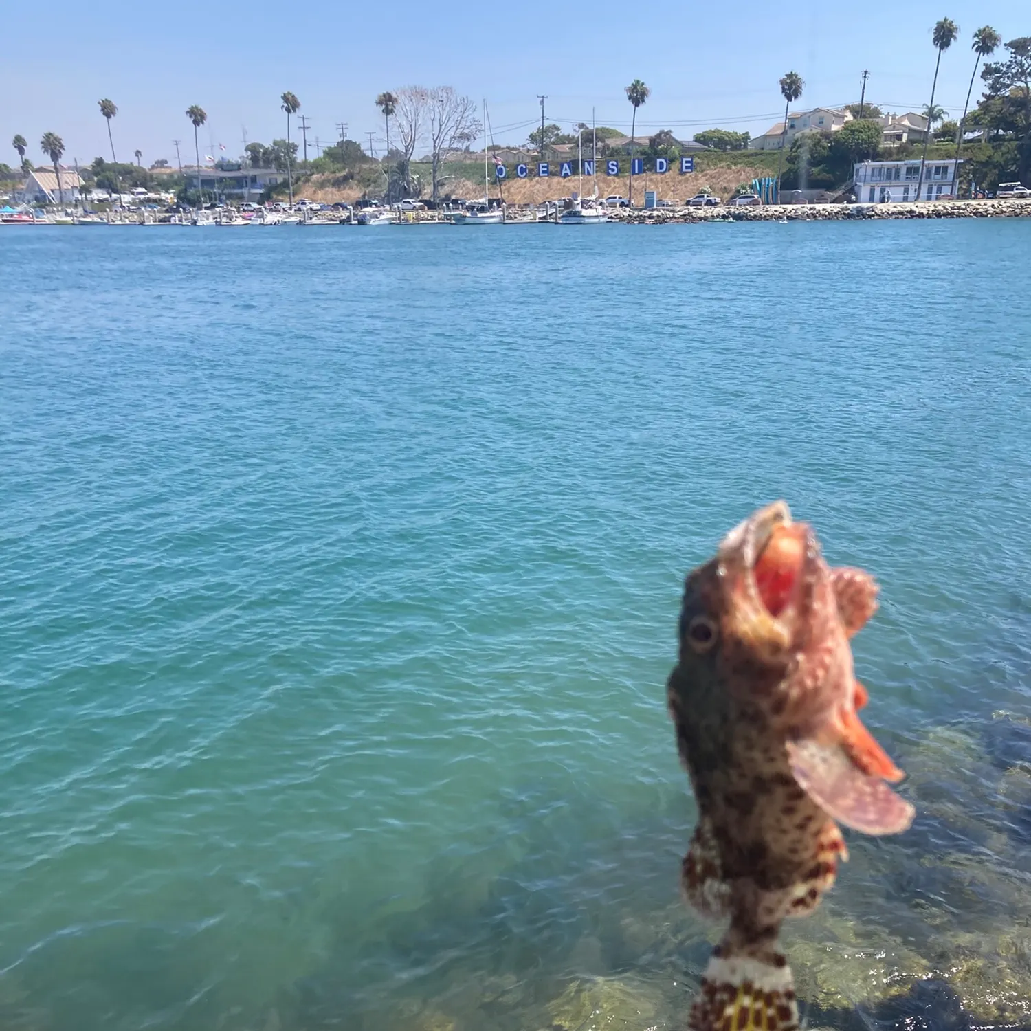 catch