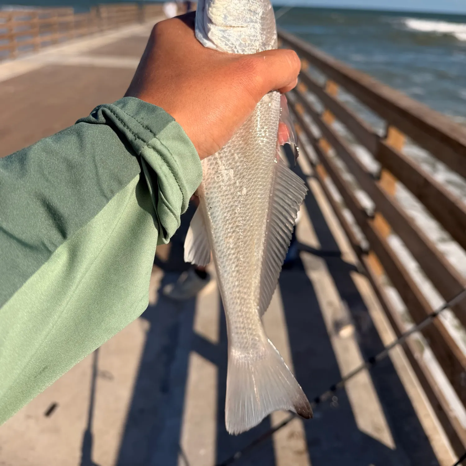 The most recent Gulf kingcroaker catches on Fishbrain