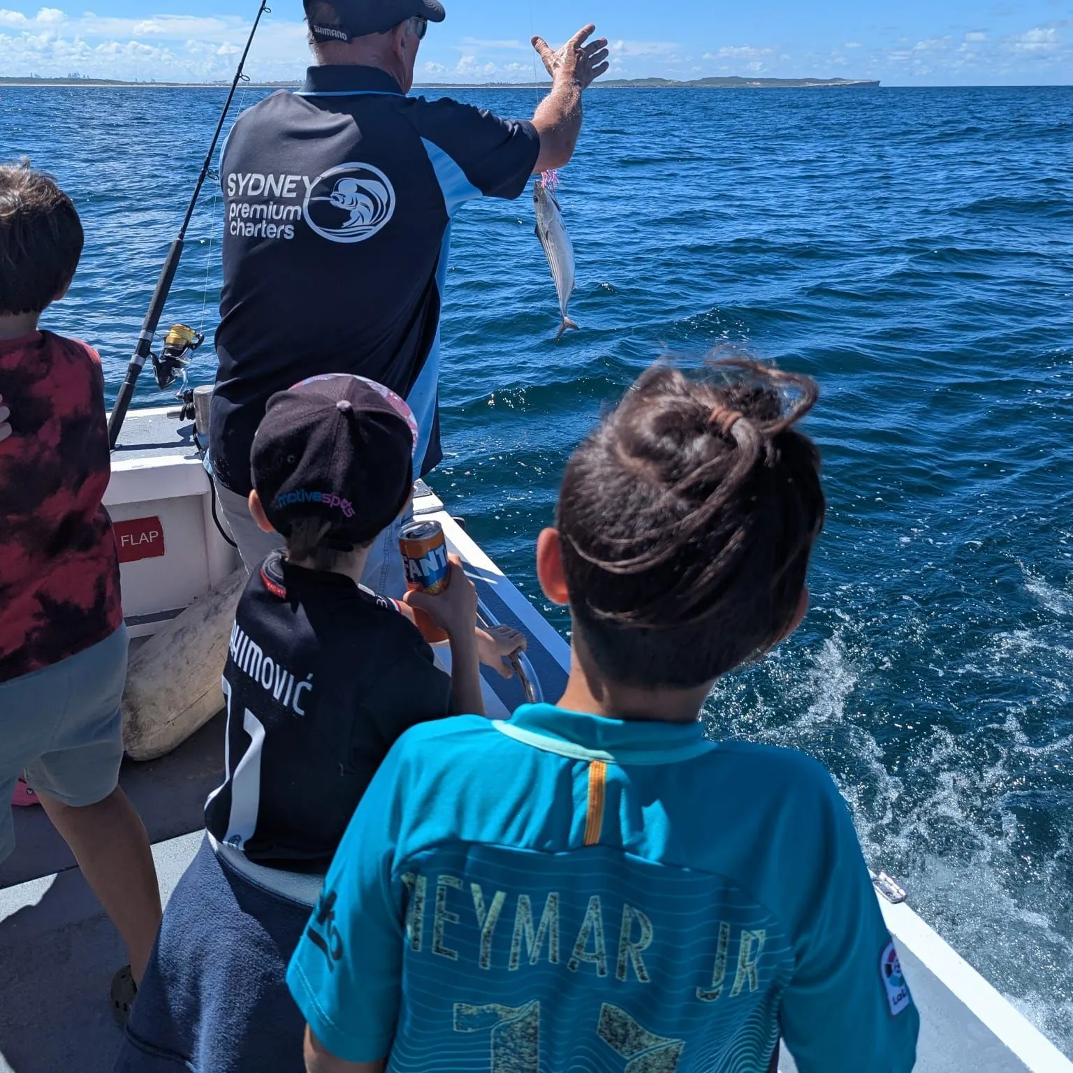The most recent Australian bonito catches on Fishbrain