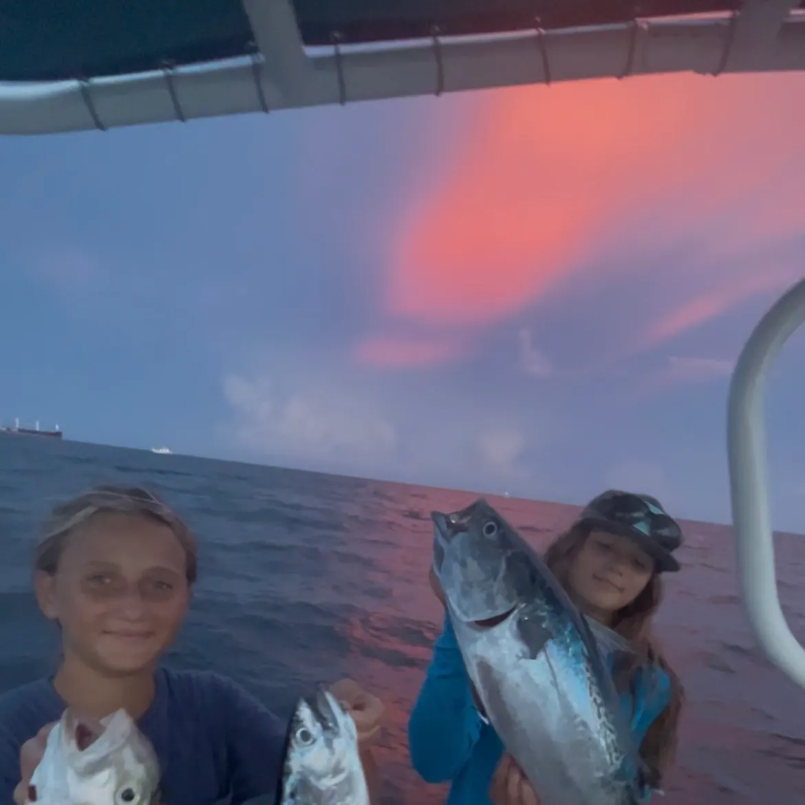 The most recent Lesser amberjack catches on Fishbrain