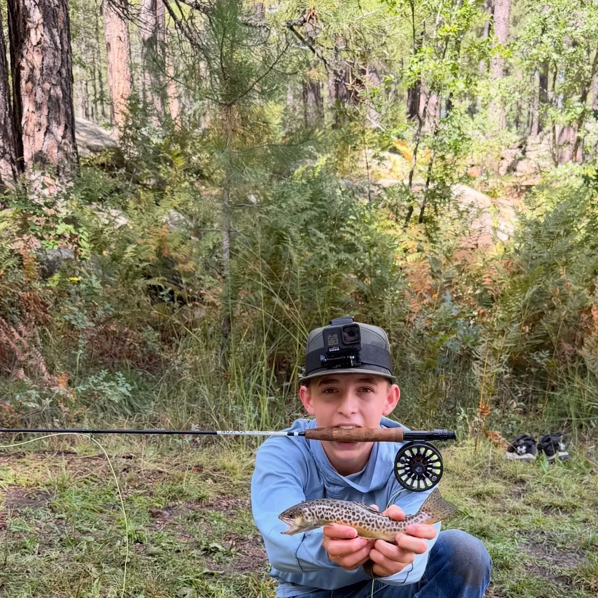 Tiger trout caught on Fishbrain