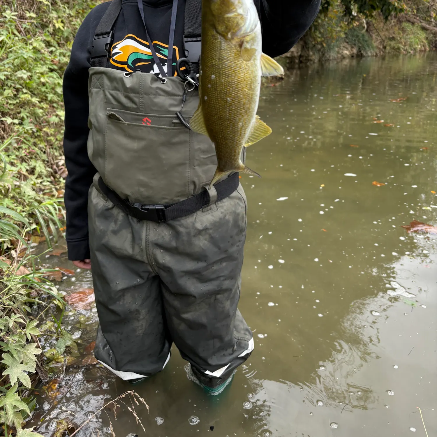 Smallmouth bass caught on Fishbrain