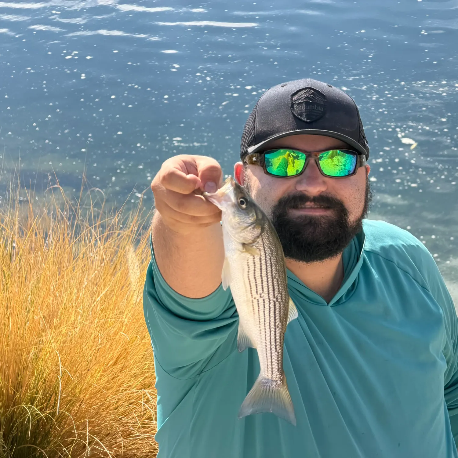 Striped bass caught on Fishbrain