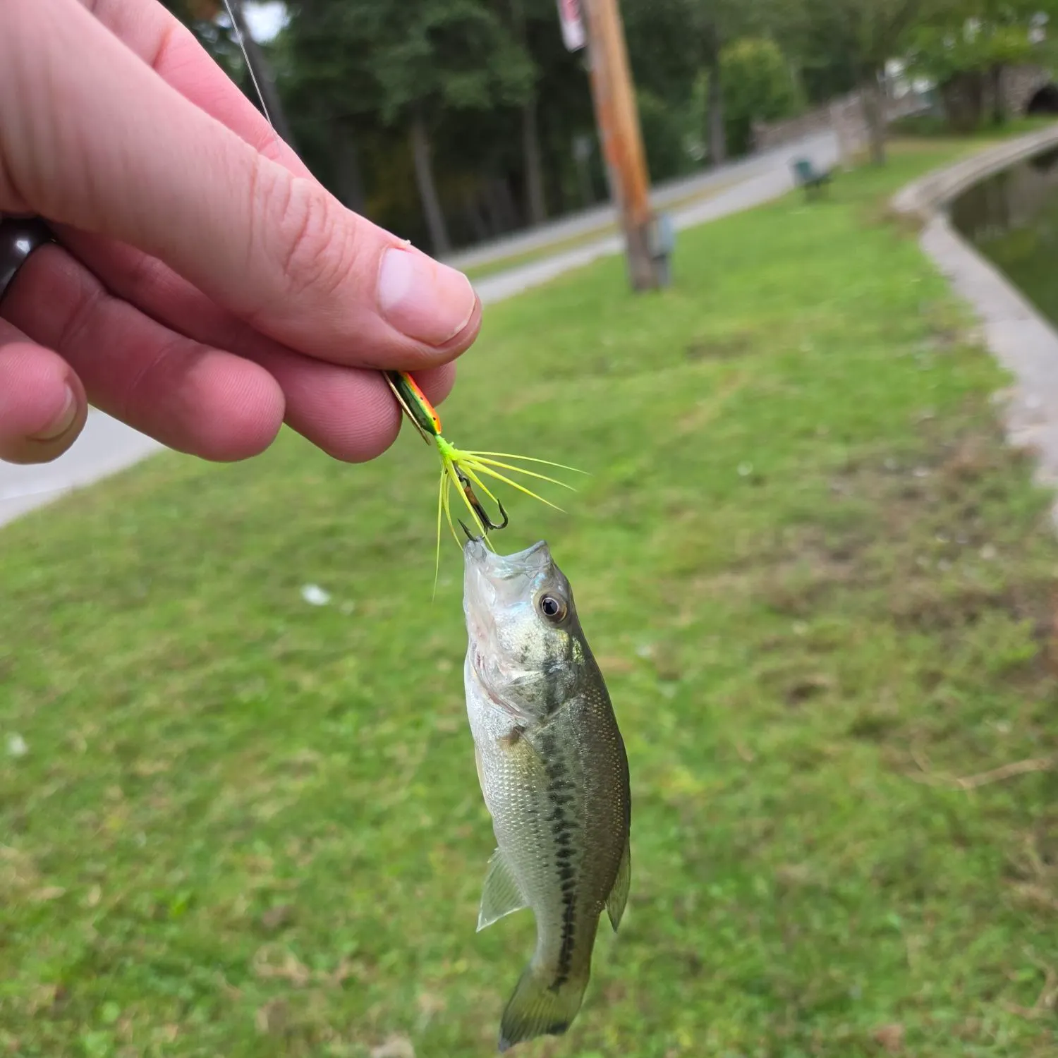 catch
