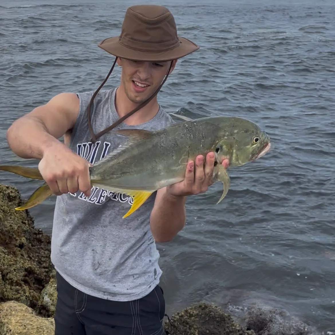The most recent Crevalle jack catches on Fishbrain
