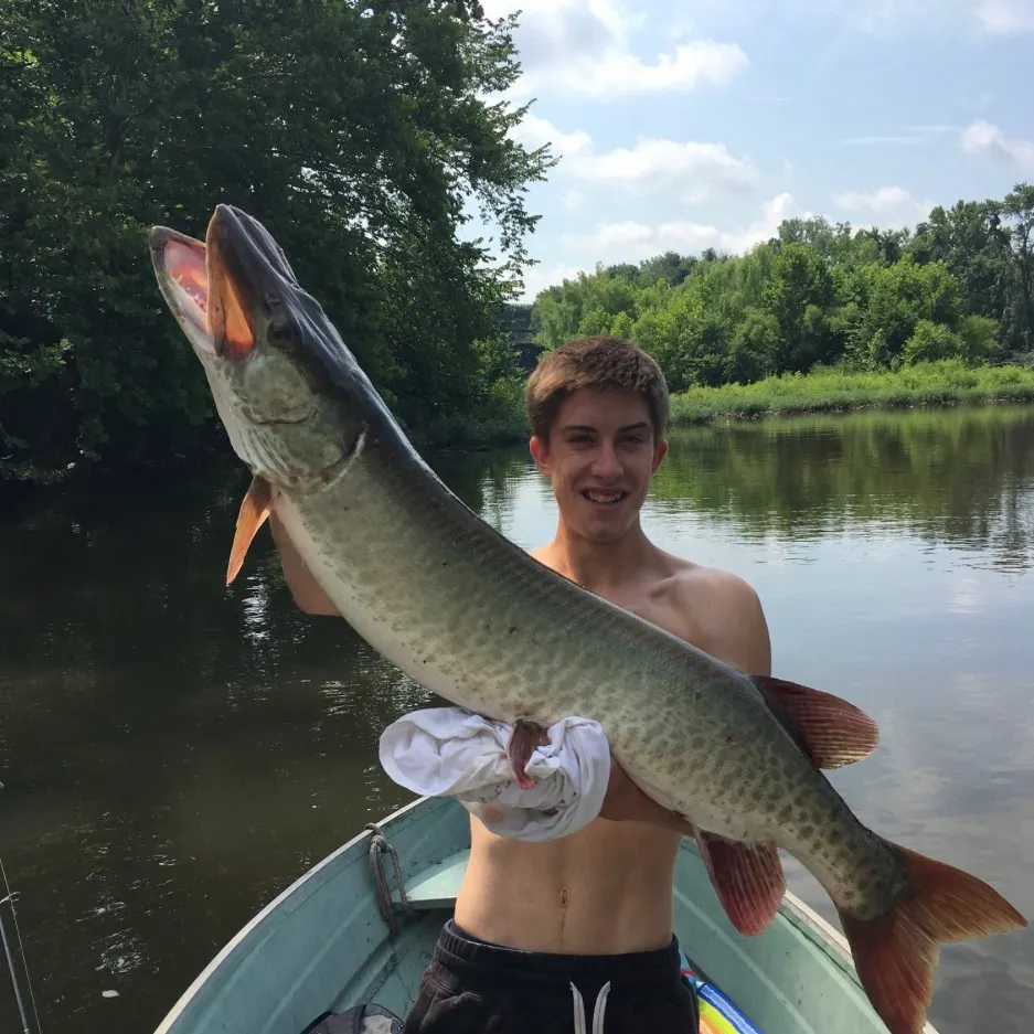 Muskie caught on Fishbrain