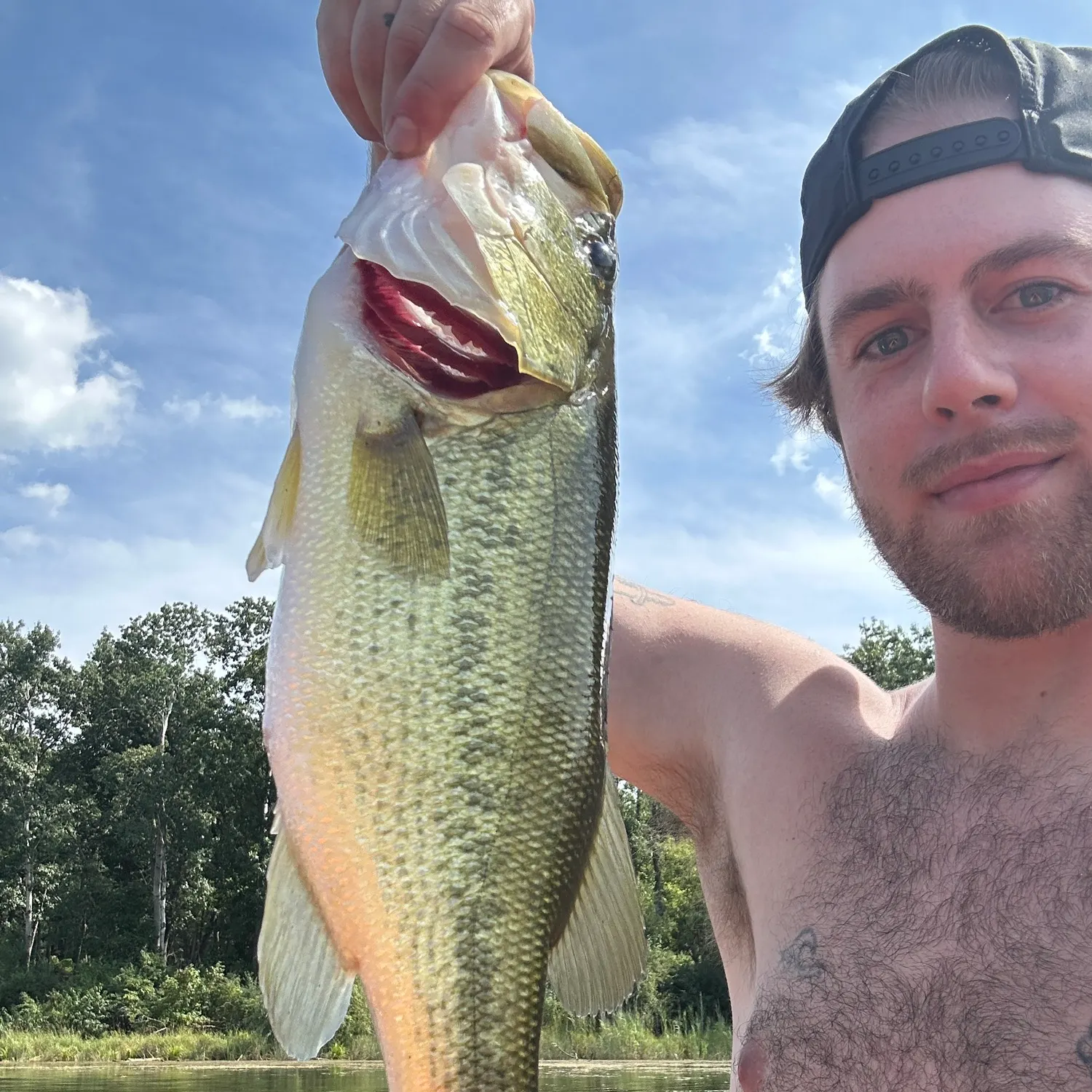 Largemouth bass caught on Fishbrain