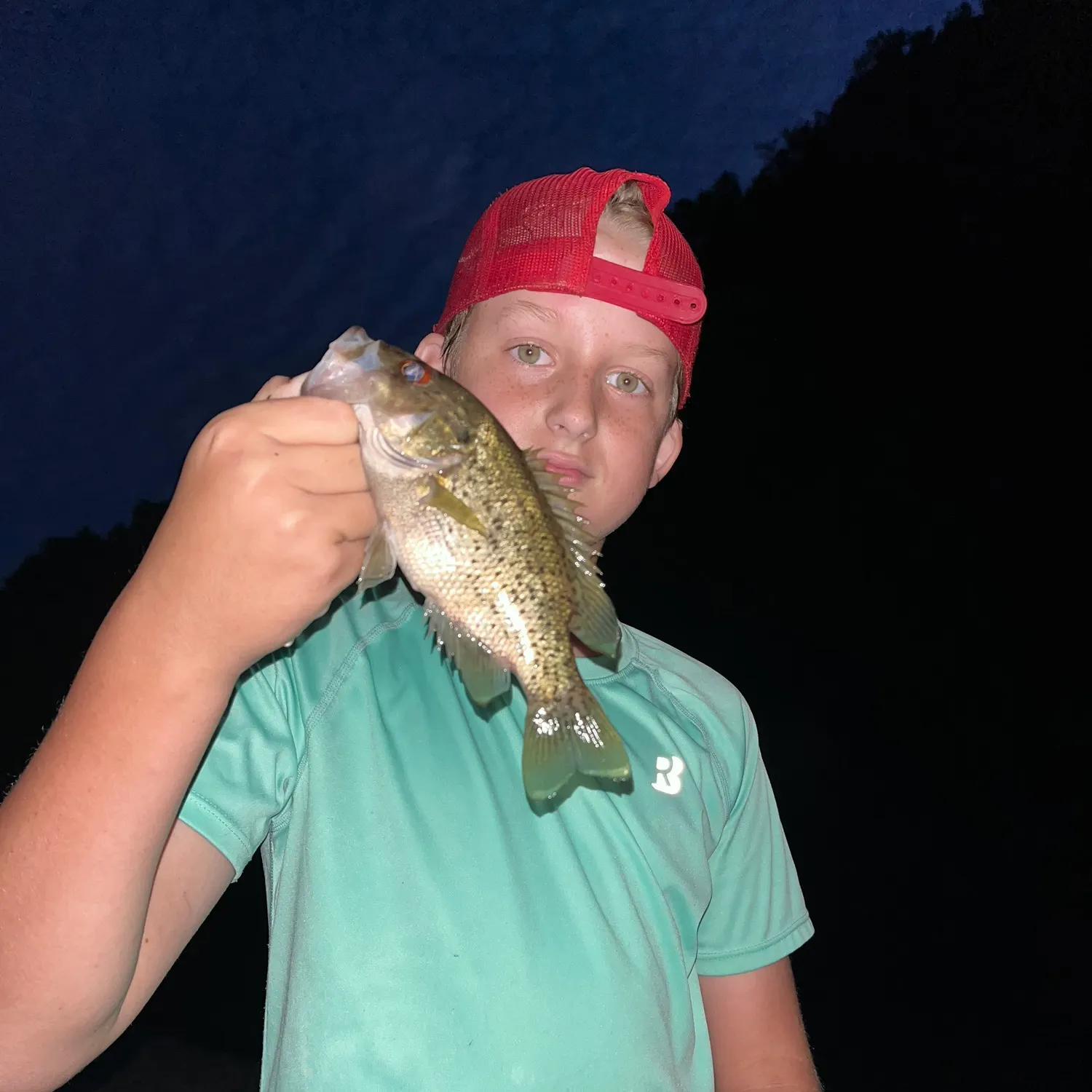 Rock bass caught on Fishbrain