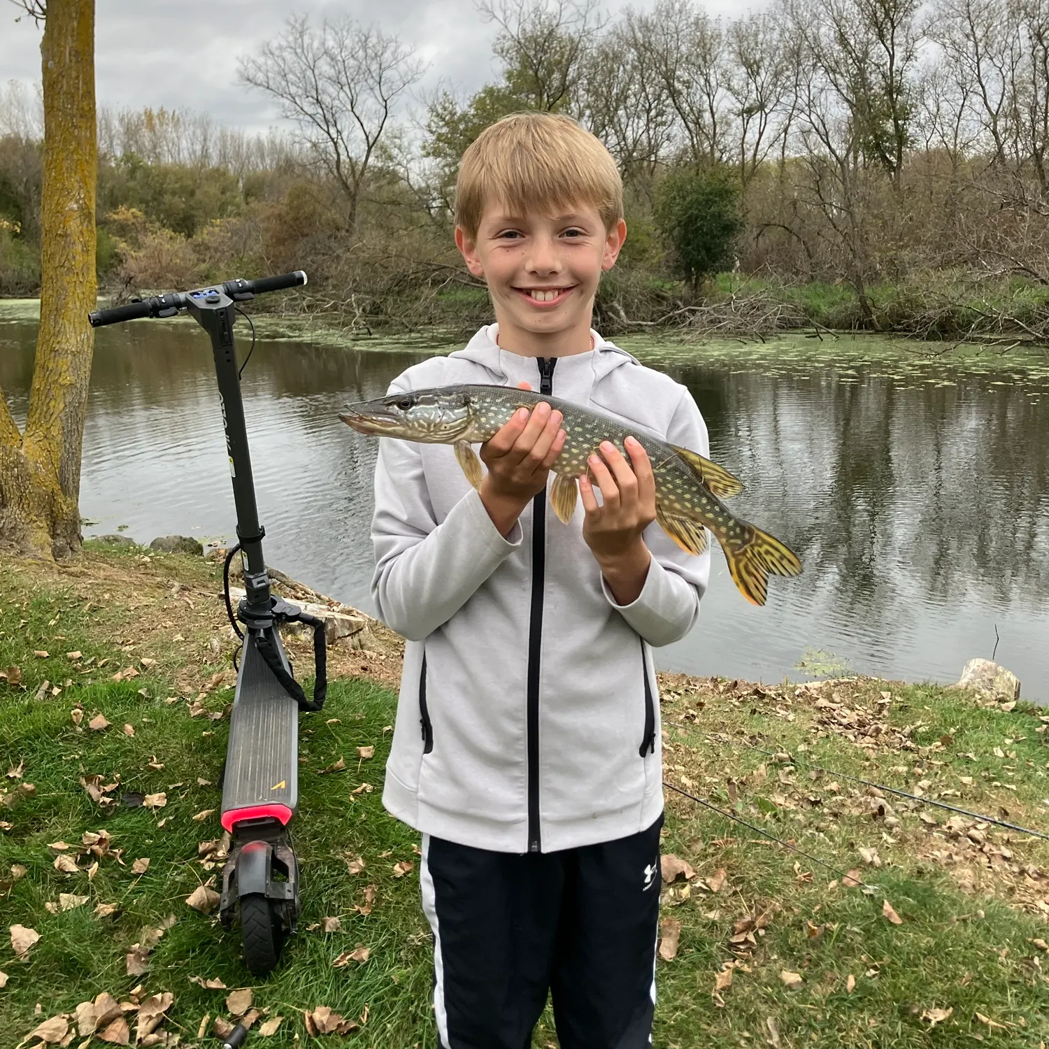 Northern pike caught on Fishbrain