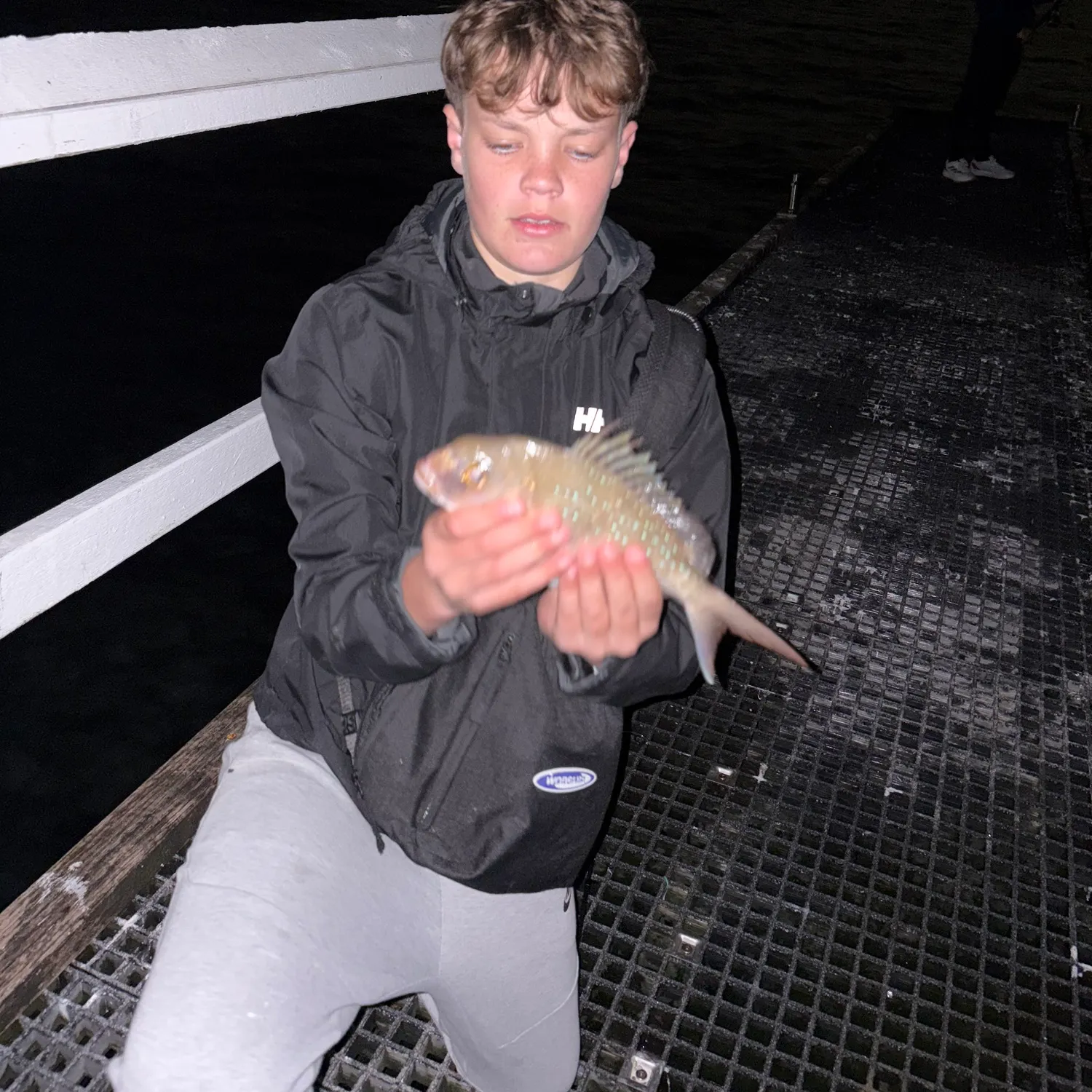 The most recent Australasian snapper catches on Fishbrain