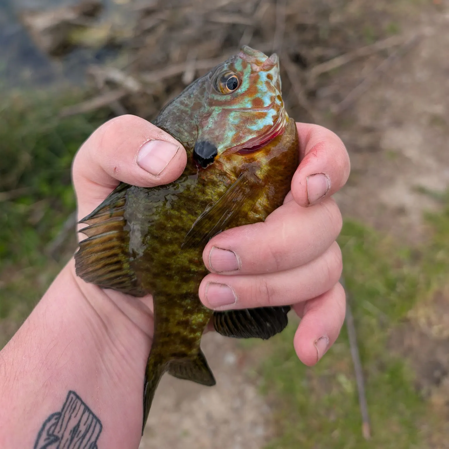 catch