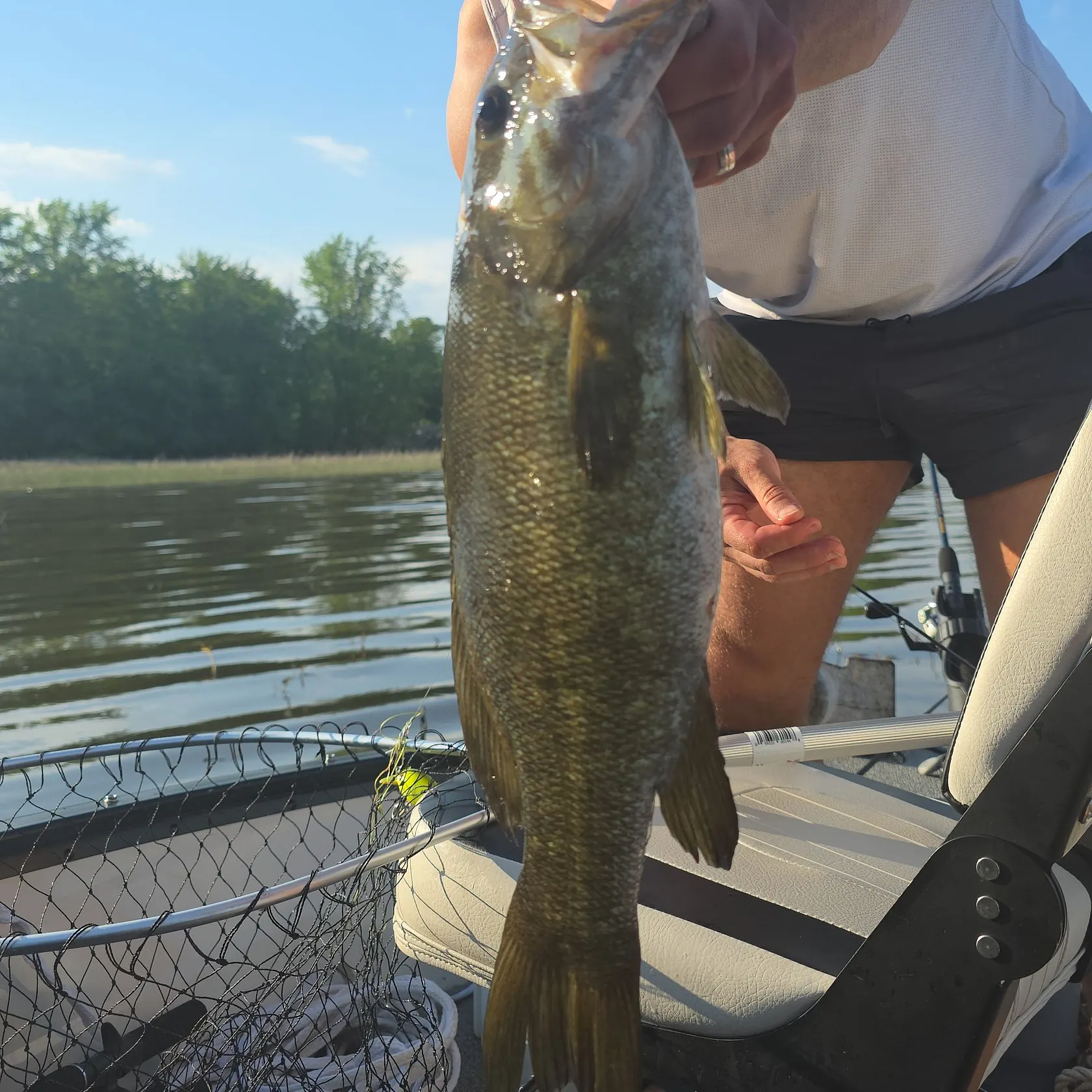 The most recent Meanmouth bass catches on Fishbrain