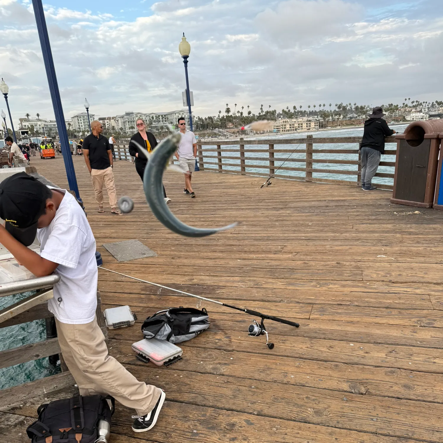 The most recent Surf smelt catches on Fishbrain