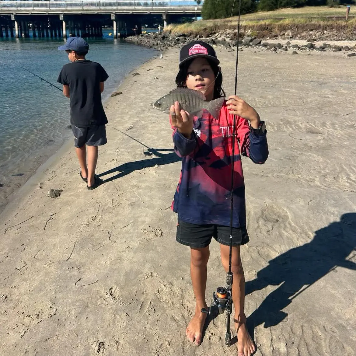 The most recent Luderick catches on Fishbrain