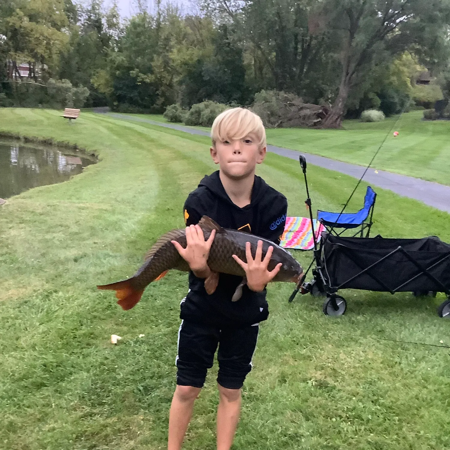 Common carp caught on Fishbrain